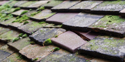 Wannock roof repair costs